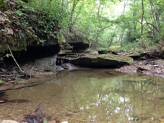 Property photo 6 - LAND AUCTION - 524+/- ACRES OFFERED IN 16 TRACTS IN MEIGS COUNTY, OHIO